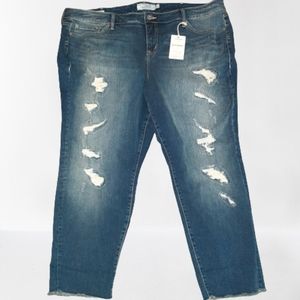 Torrid Boyfriend Denim Jeans